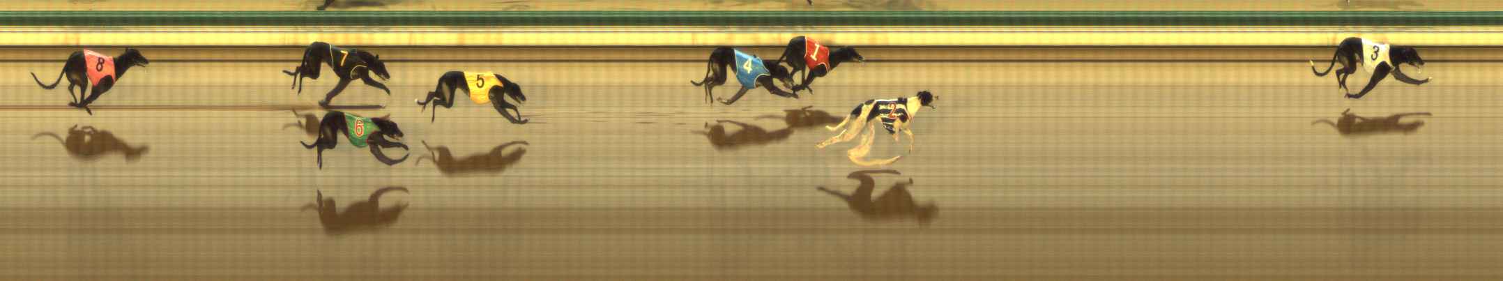 Photo finish for The Meadows Race 9