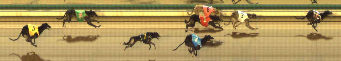 Photo finish for The Meadows Race 10