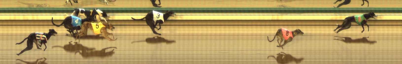 Photo finish for The Meadows Race 11