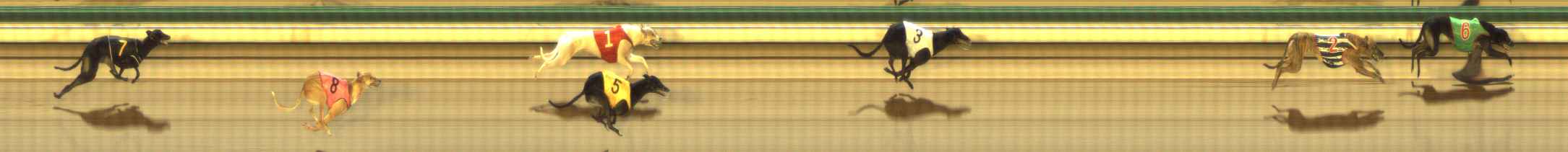 Photo finish for The Meadows Race 12