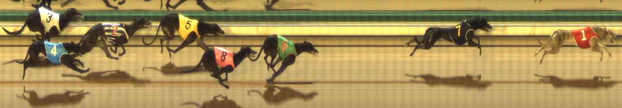 Photo finish for The Meadows Race 1