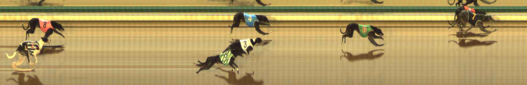 Photo finish for The Meadows Race 2