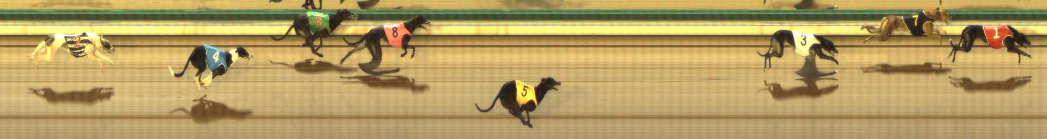 Photo finish for The Meadows Race 3