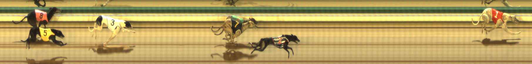 Photo finish for The Meadows Race 4