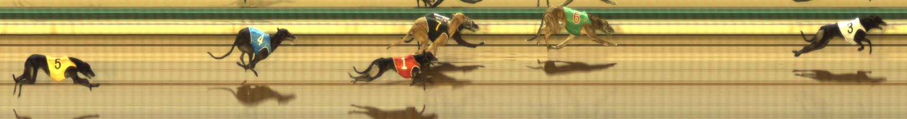 Photo finish for The Meadows Race 5