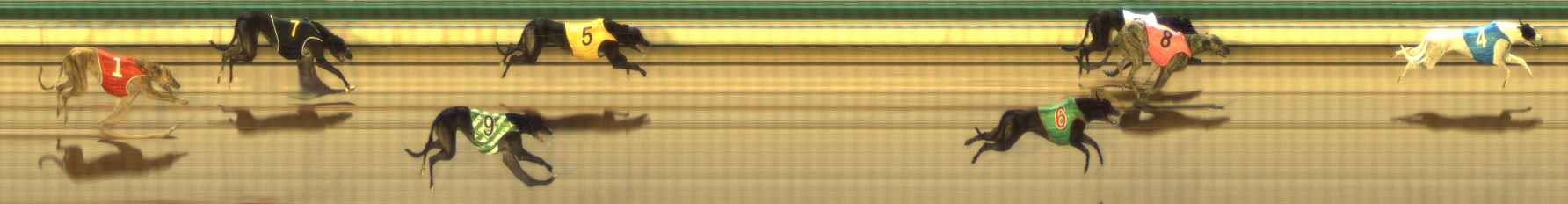 Photo finish for The Meadows Race 6