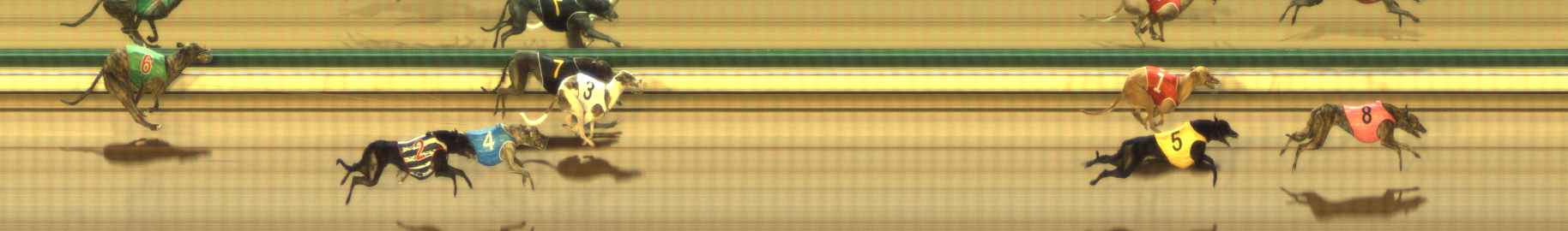 Photo finish for The Meadows Race 7