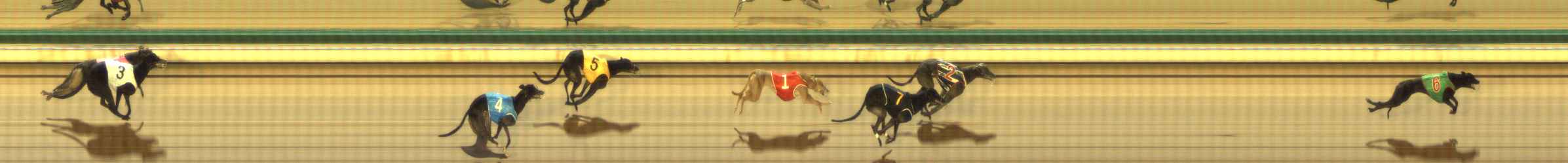 Photo finish for The Meadows Race 8