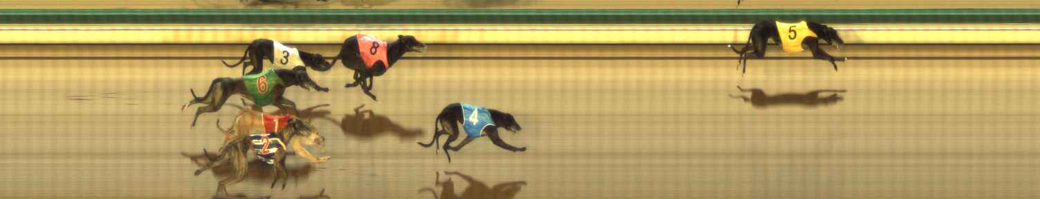 Photo finish for The Meadows Race 9