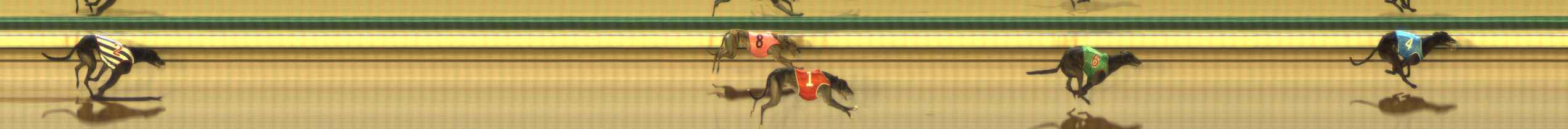 Photo finish for The Meadows Race 10