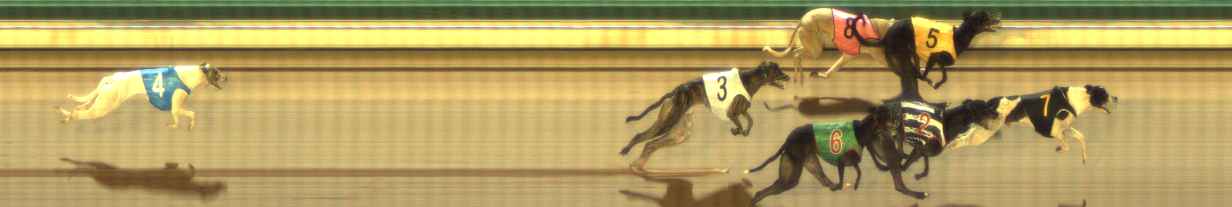 Photo finish for The Meadows Race 11