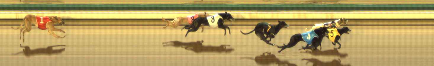 Photo finish for The Meadows Race 12