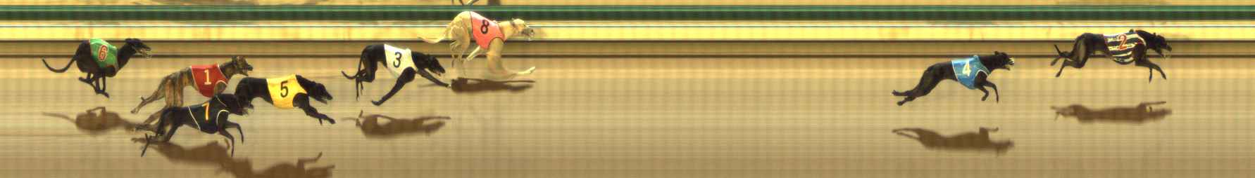 Photo finish for The Meadows Race 1