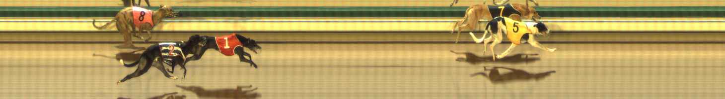 Photo finish for The Meadows Race 2