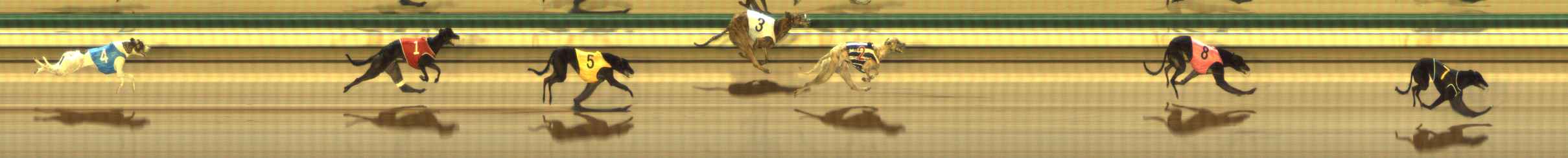 Photo finish for The Meadows Race 3