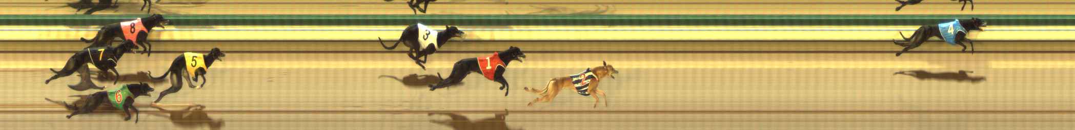 Photo finish for The Meadows Race 4