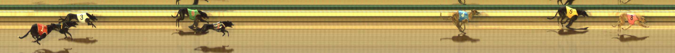 Photo finish for The Meadows Race 5