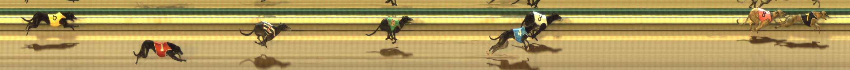 Photo finish for The Meadows Race 6