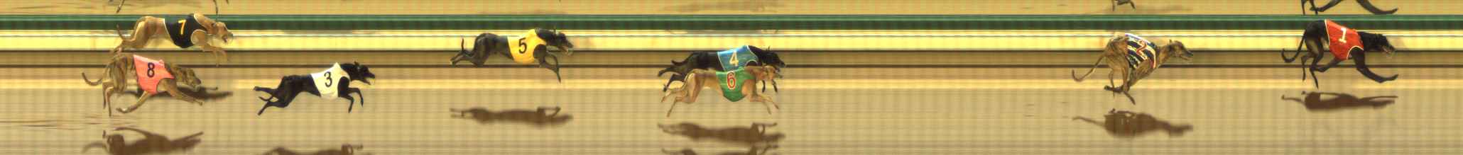 Photo finish for The Meadows Race 7