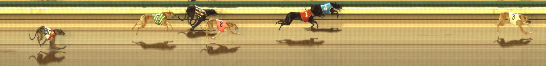 Photo finish for The Meadows Race 8