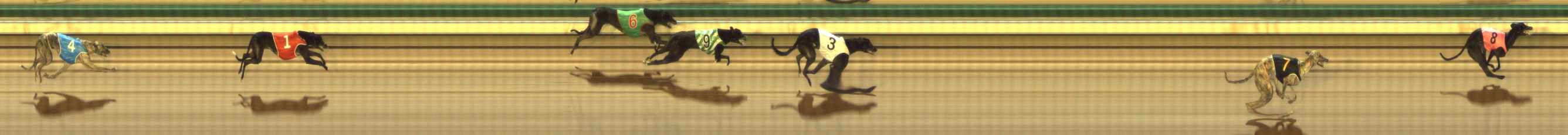 Photo finish for The Meadows Race 9