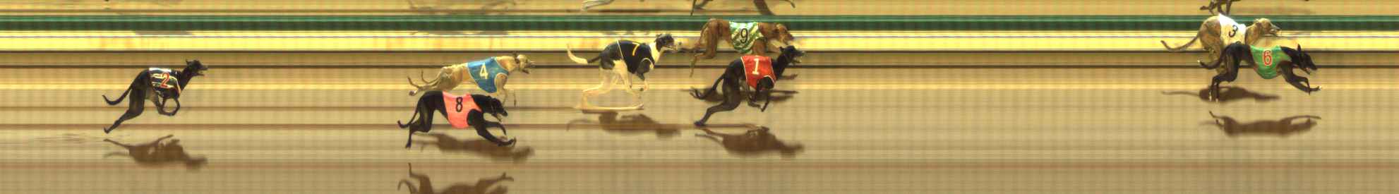 Photo finish for The Meadows Race 10