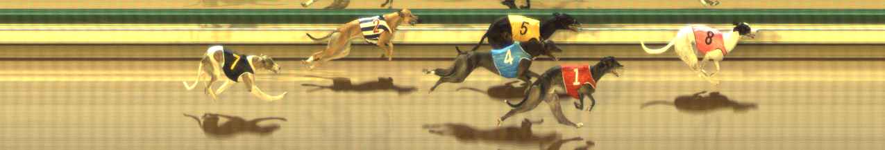 Photo finish for The Meadows Race 11