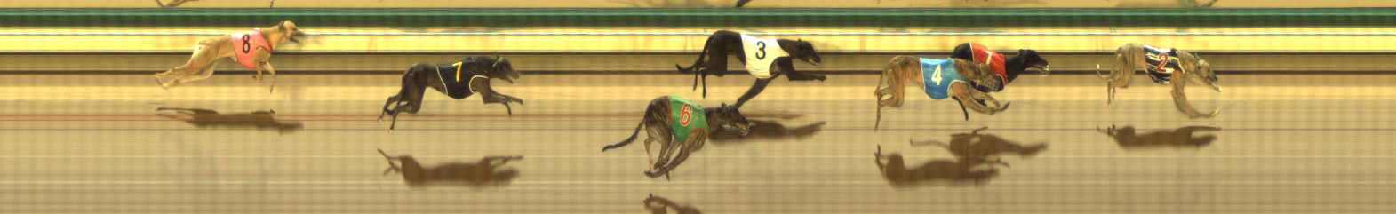 Photo finish for The Meadows Race 12
