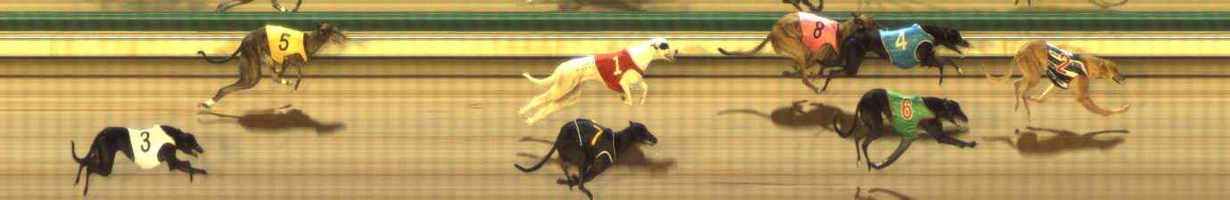 Photo finish for The Meadows Race 1