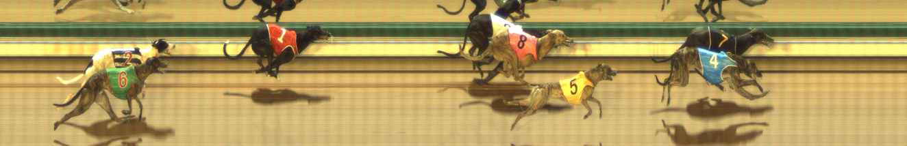 Photo finish for The Meadows Race 2