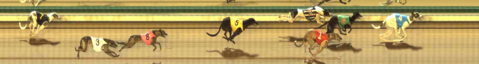 Photo finish for The Meadows Race 3