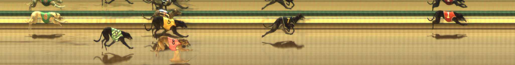 Photo finish for The Meadows Race 5