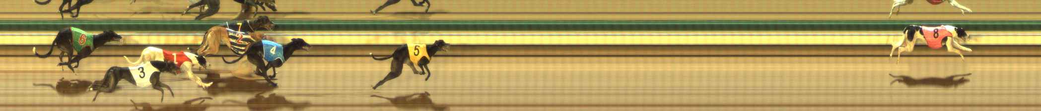 Photo finish for The Meadows Race 6