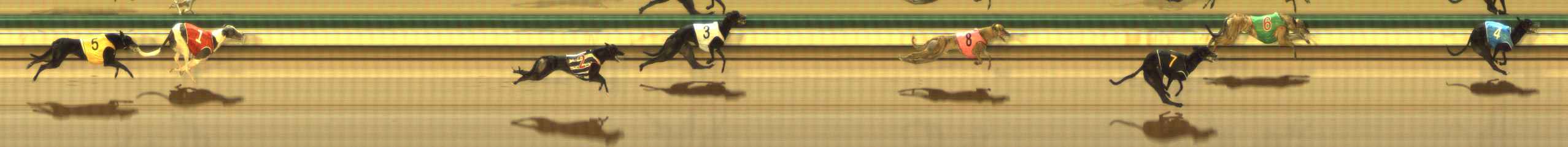 Photo finish for The Meadows Race 7