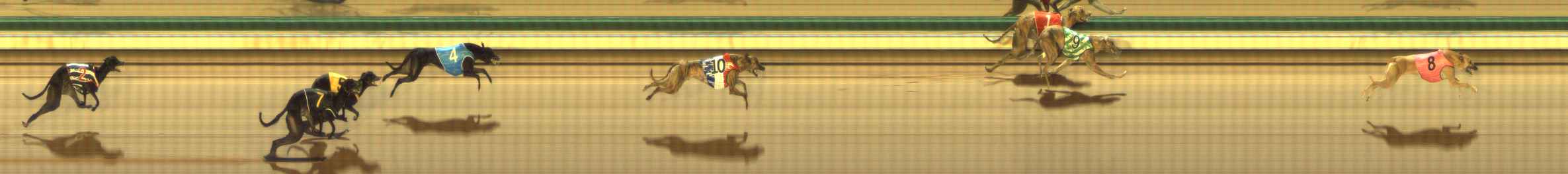 Photo finish for The Meadows Race 8