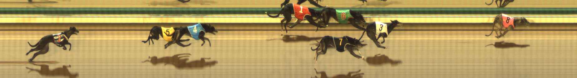 Photo finish for The Meadows Race 9