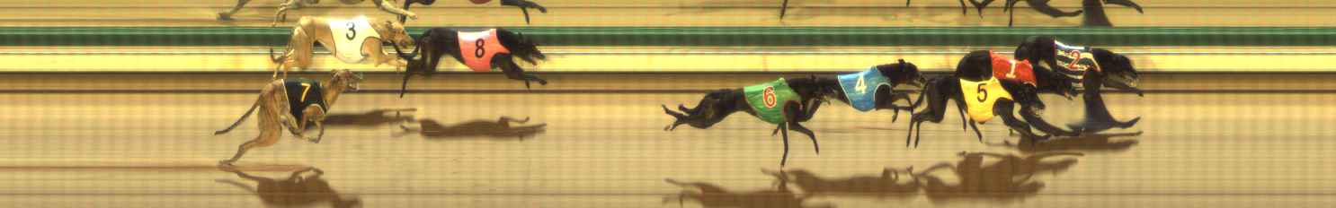 Photo finish for The Meadows Race 11
