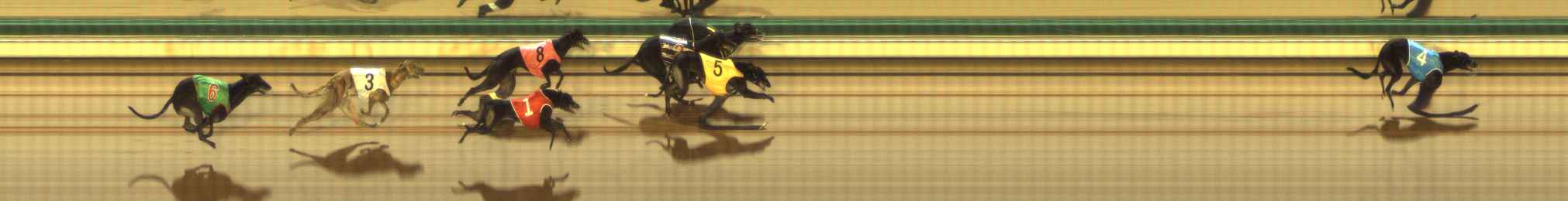 Photo finish for The Meadows Race 12