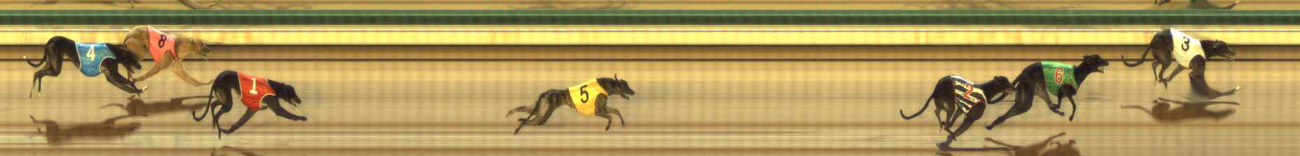 Photo finish for The Meadows Race 2