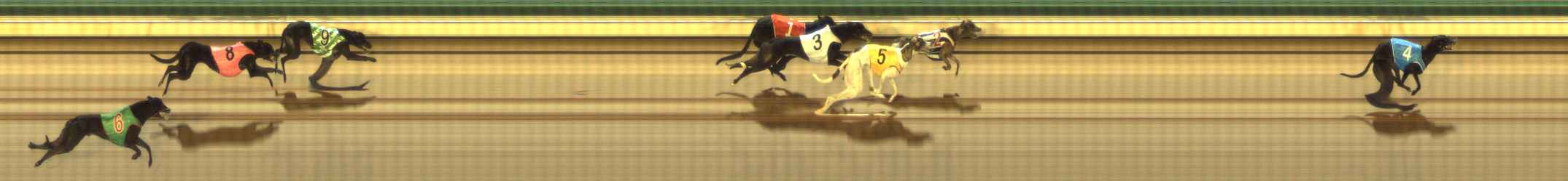 Photo finish for The Meadows Race 4