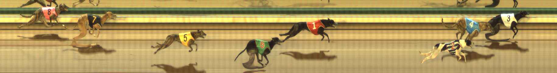 Photo finish for The Meadows Race 5