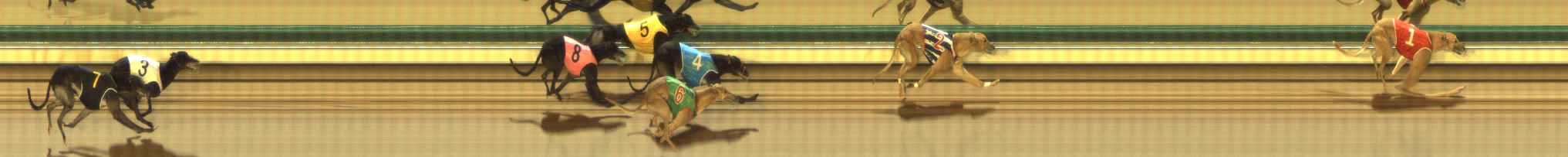 Photo finish for The Meadows Race 6