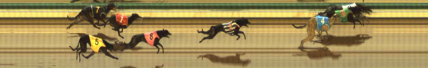 Photo finish for The Meadows Race 7