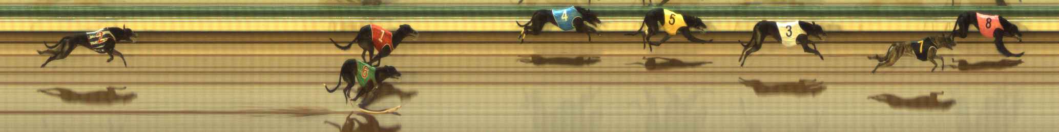 Photo finish for The Meadows Race 8