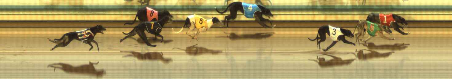 Photo finish for The Meadows Race 9