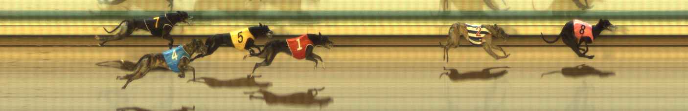 Photo finish for The Meadows Race 11