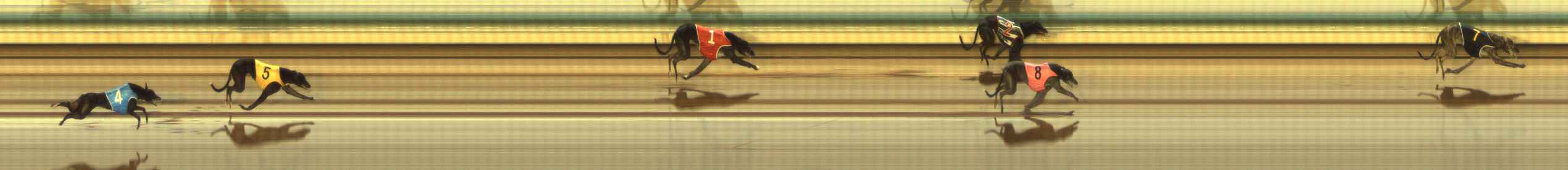 Photo finish for The Meadows Race 12
