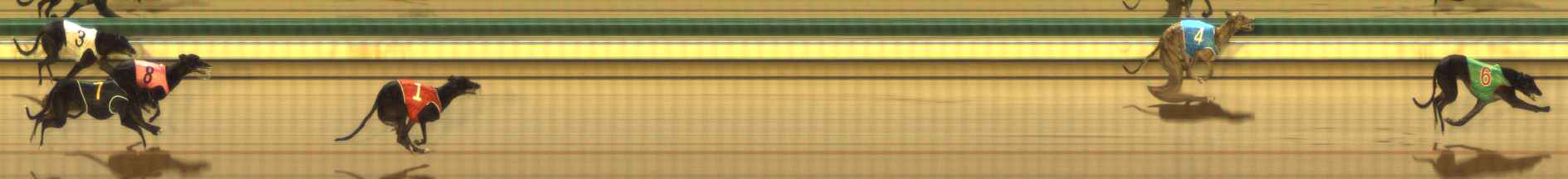 Photo finish for The Meadows Race 1
