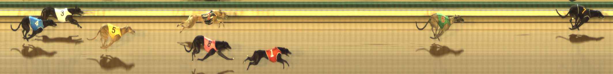 Photo finish for The Meadows Race 2