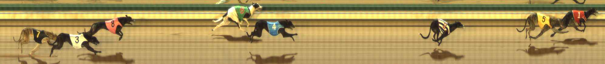Photo finish for The Meadows Race 3